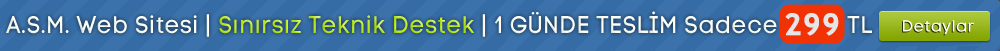 Asm Web Sayfası